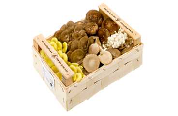 1kg Holzspankistchen Edelpilzmix