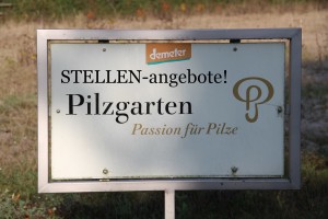 Schild Stellenangebote
